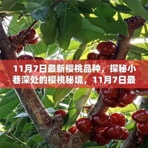 第398页