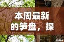新闻中心 第374页
