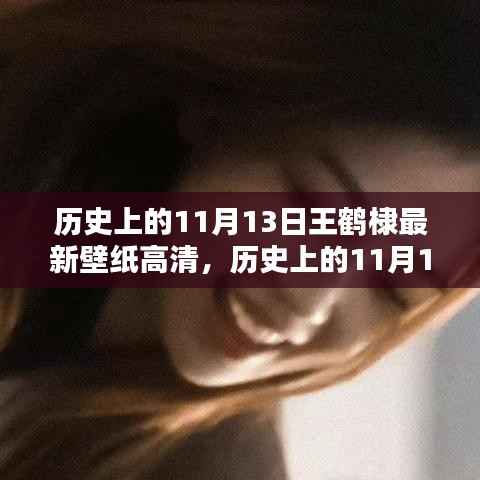 历史上的11月13日王鹤棣高清壁纸,下载全攻略与初学者轻松掌握