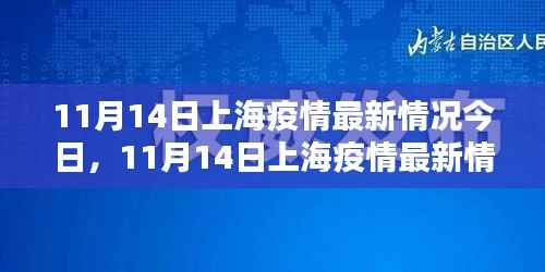 上海疫情最新动态，11月14日分析与更新
