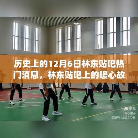 林东贴吧12月6日热门消息揭秘,友谊与陪伴的温馨日常
