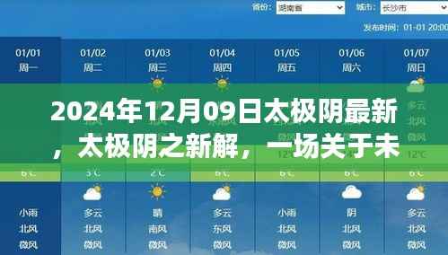 太极阴新解,深度探讨未来趋势(以观察点2024年12月09日)
