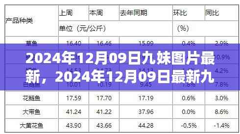 2024年最新九妹图片欣赏,美图尽在手中