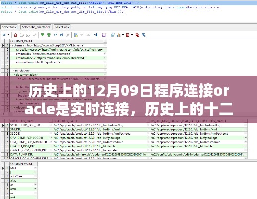 历史上的十二月九日,Oracle数据库实时连接的诞生及其深远影响