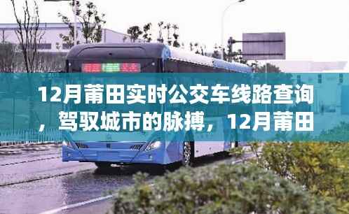 12月莆田实时公交查询,驾驭城市脉络,练就自信与成就感的旅程