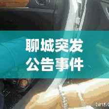 聊城突发公告事件最新动态更新