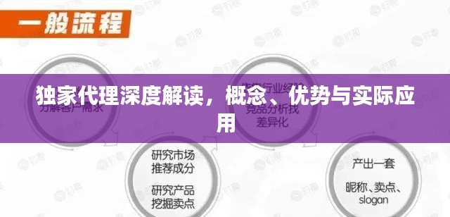 独家代理深度解读,概念、优势与实际应用