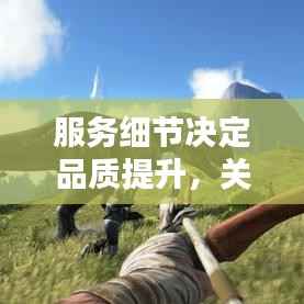 服务细节决定品质提升,关键所在深度解析