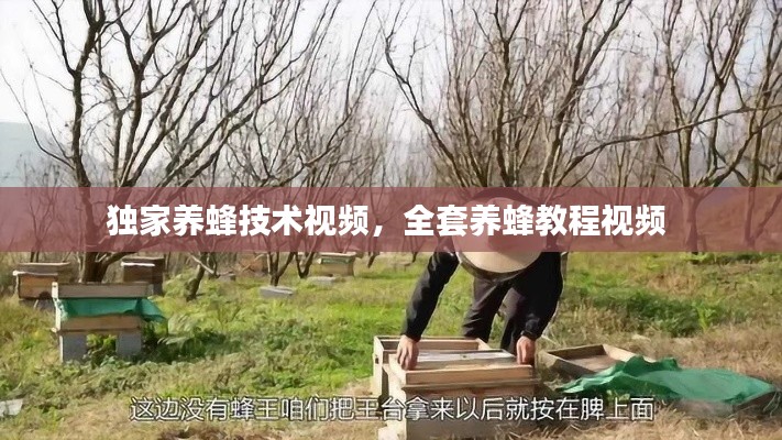 独家养蜂技术视频，全套养蜂教程视频 