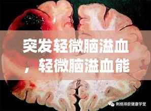 眉开眼笑