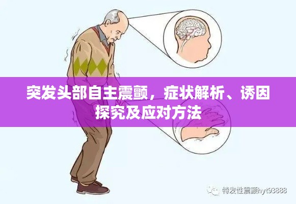 突发头部自主震颤,症状解析、诱因探究及应对方法