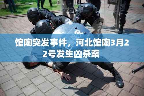 馆陶突发事件,河北馆陶3月22号发生凶杀案