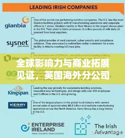 全球影响力与商业拓展见证,英国海外分公司排名榜单重磅出炉!
