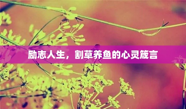 励志人生,割草养鱼的心灵箴言