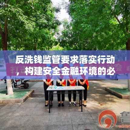 反洗钱监管要求落实行动,构建安全金融环境的必要措施