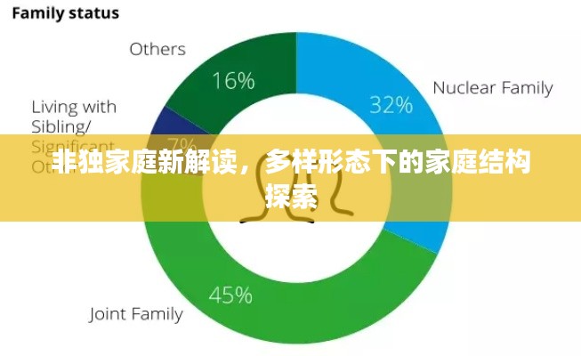 非独家庭新解读,多样形态下的家庭结构探索