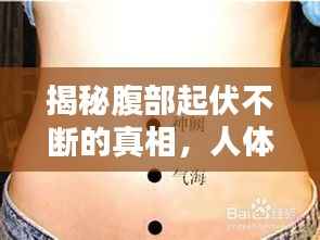 新闻中心 第145页