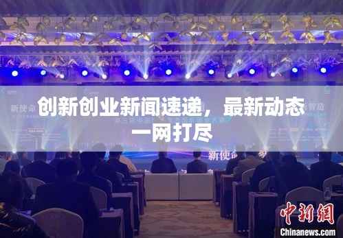 创新创业新闻速递,最新动态一网打尽