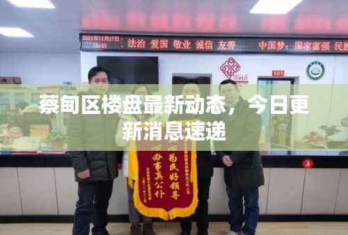 蔡甸区楼盘最新动态,今日更新消息速递