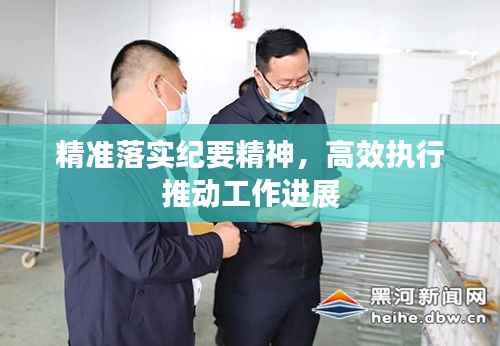 精准落实纪要精神,高效执行推动工作进展