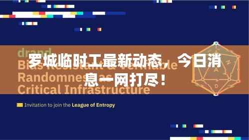 罗城临时工最新动态,今日消息一网打尽!