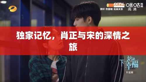 独家记忆,肖正与宋的深情之旅