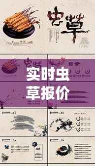 实时虫草报价揭秘,珍稀草药市场动态大揭秘!