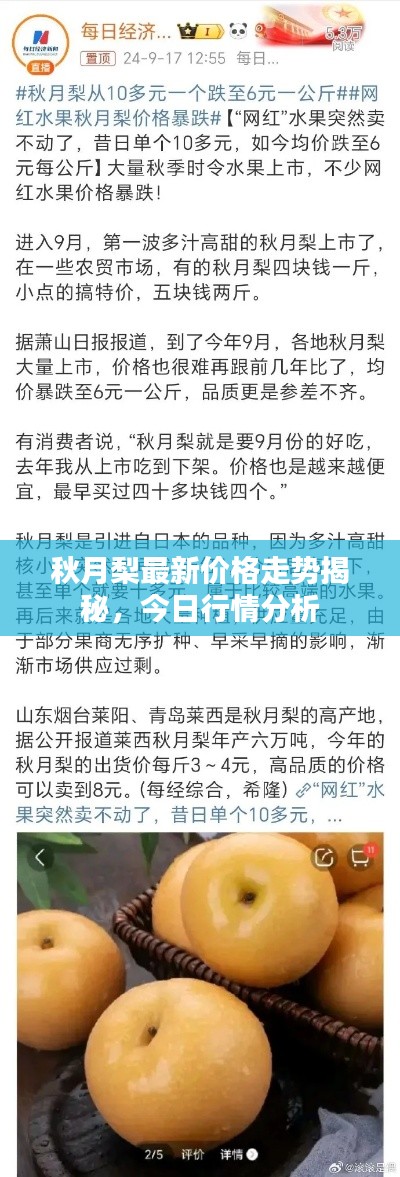 秋月梨最新价格走势揭秘，今日行情分析